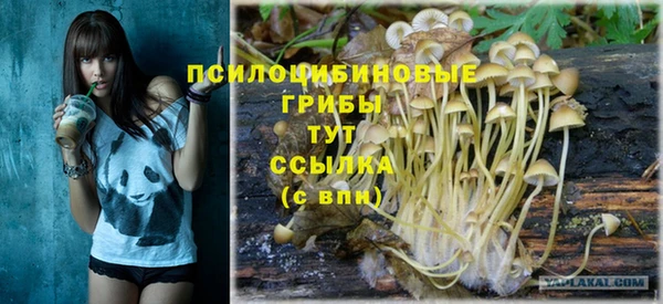 прущая мука Ельня