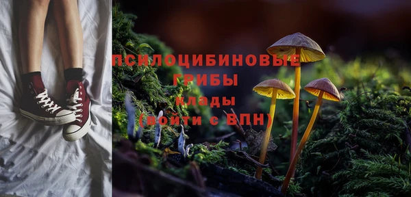 ешки Елизово