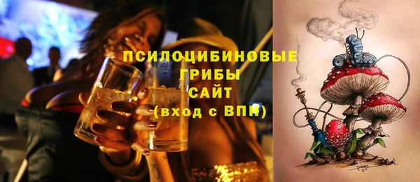 ешки Елизово