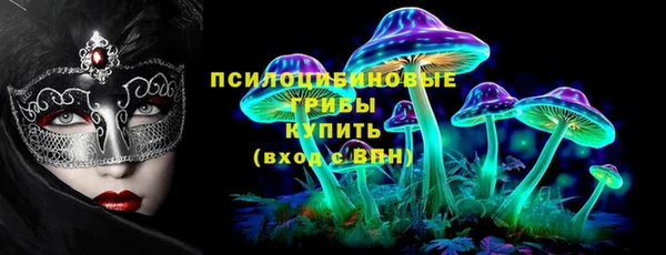 ешки Елизово