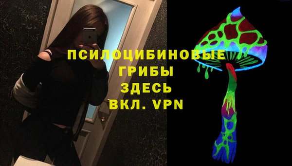 ешки Елизово